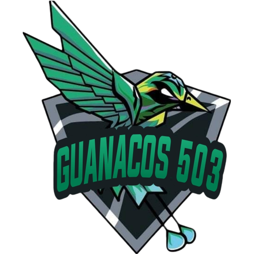 Guanacos 503